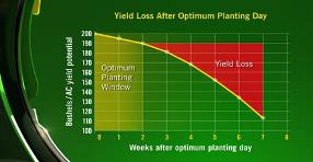 Yield loss after optimum planting day