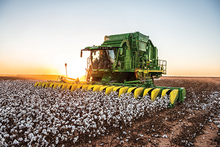 CS770 harvesting cotton