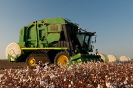 Simplify the module tagging process with John Deere Harvest Identification, Cotton