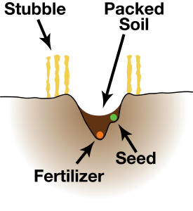 Single row/side banded soil profile