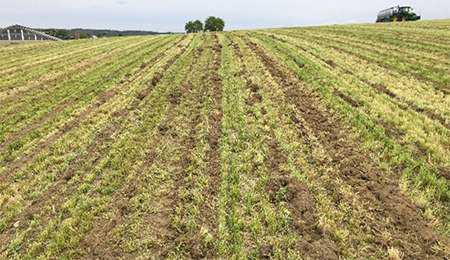 Damaged and low precise seed beds without traction assist