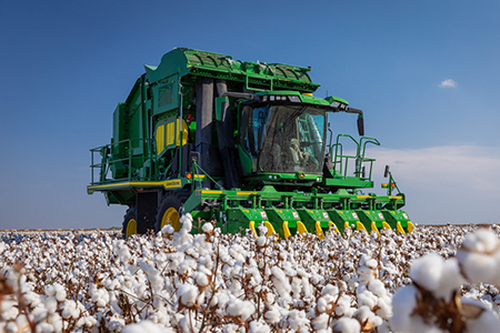 CP770 harvesting cotton by day 