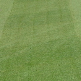 Roller overlap marks - bentgrass fairway